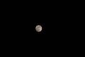 mond_fw_ap_07.jpg