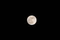 mond_fw_ap_04.jpg