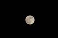 mond_fw_ap_05.jpg